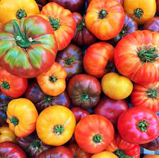 Heirloom mixed big tomato Solanum lycopersicum seeds for planting in garden beds